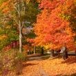 10 Schools to Enjoy the Fall
