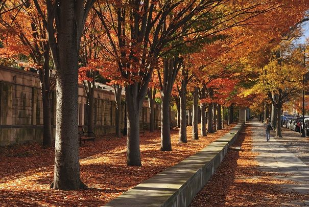 Beautiful college Princeton University