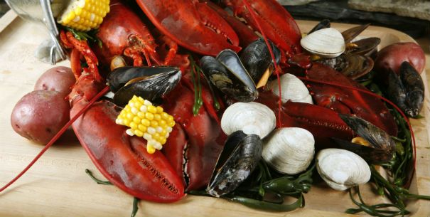 Lobster Bake at the Dining Hall Bowdoin College