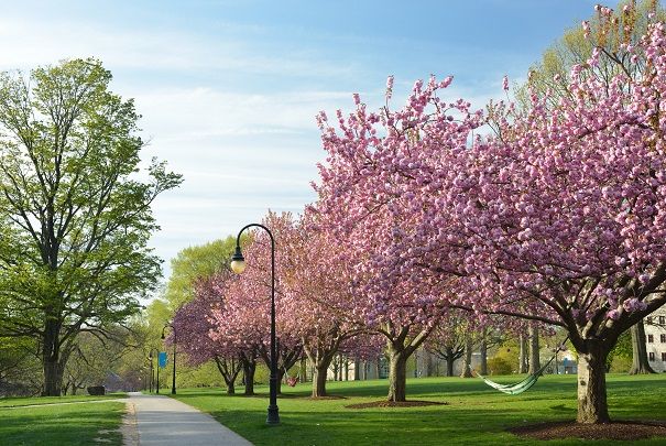 Beautiful college Bryn Mawr College