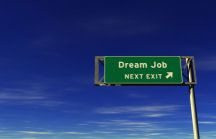 find your dream job