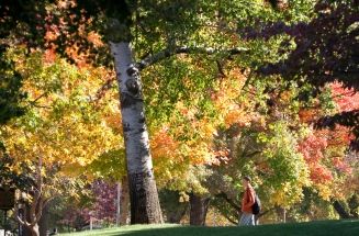 Universities to visit for Fall